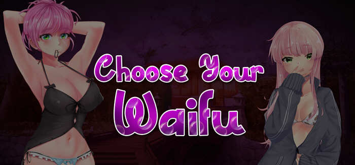 秘密（Waifu Secret 2） V1.01 官方中文版 休闲益智游戏-小黄鸭acgn