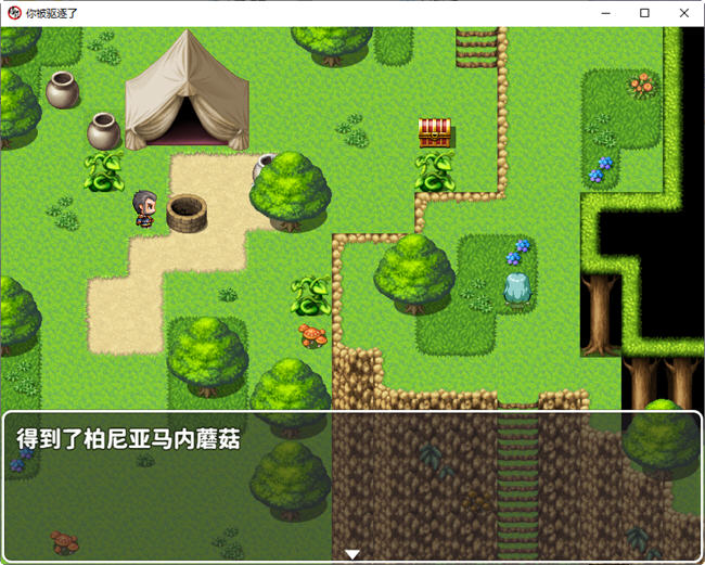 图片[2]-你被驱逐了 官方中文作弊版 PC+安卓 RPG游戏 1.2G-小黄鸭acgn