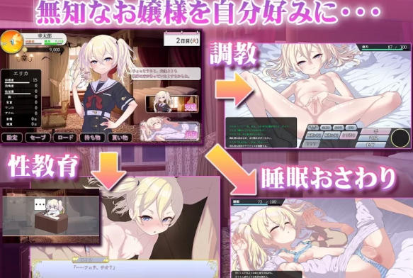 图片[2]-【SLG/AI汉化/PC】 懵懂无知的大小姐 このお嬢様、無知につき [PC+1.1g]-小黄鸭acgn