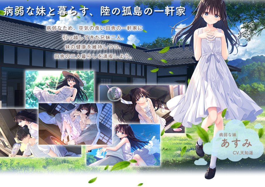图片[2]-【日式RPG/同居生活/PC】 一心一意的乡下哥哥和古式温柔的病弱妹妹   官中版 [PC]-小黄鸭acgn